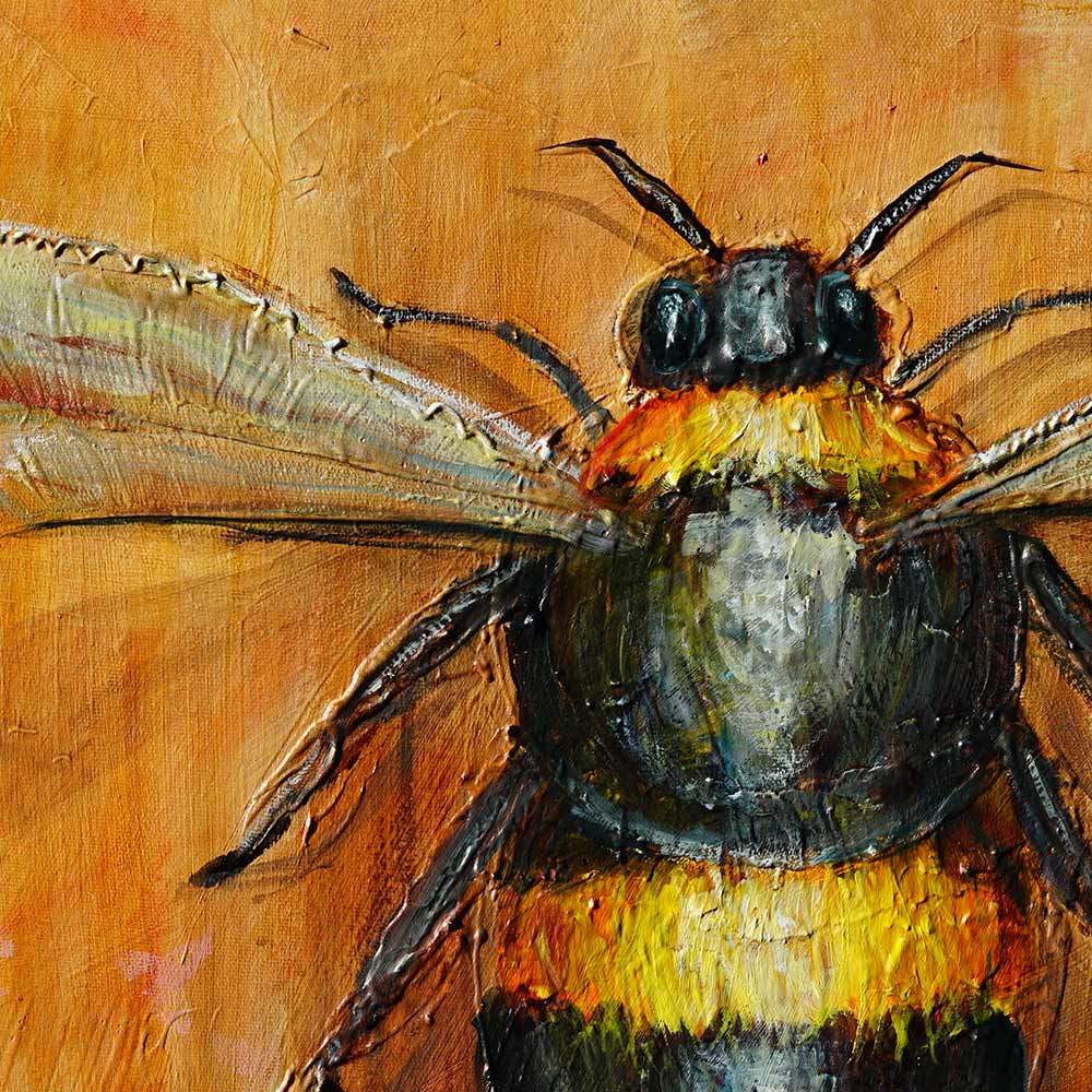 Blossom and Buzz close-up - Intricate details of bumblebee's fuzzy body and wings