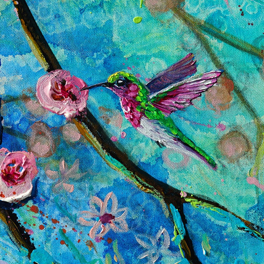 Hummingbird Blossom Dance close up of bird