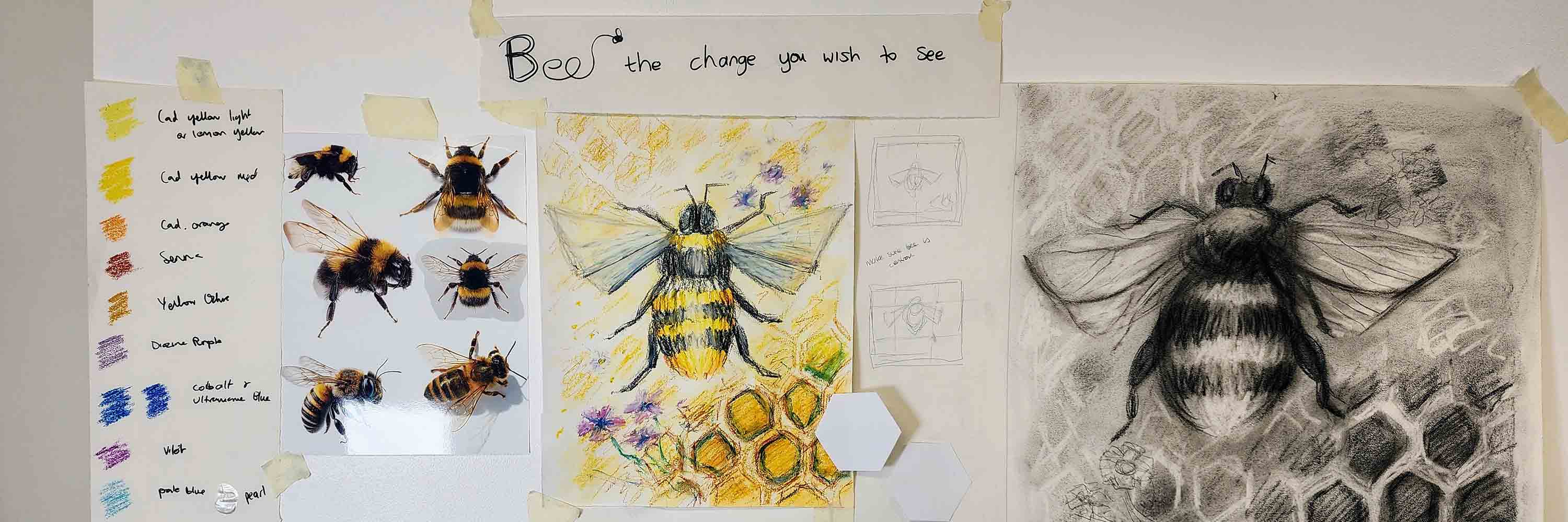 bee sketches in the studio